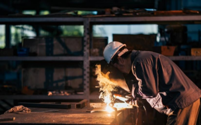 What Tool Steel Are German Knives Made Of?